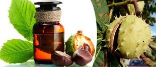 Chestnut tincture - a folk remedy for prostatitis