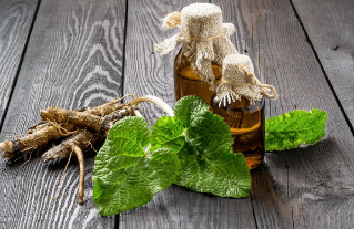 Boiling burdock root